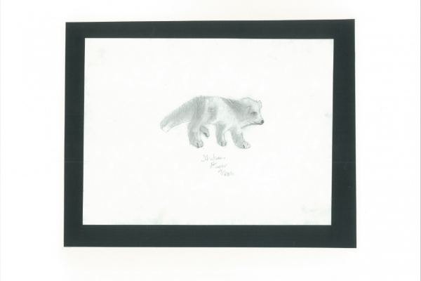 Artwork #14
