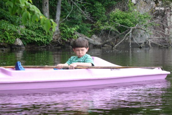 Picture #31